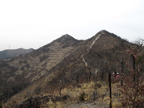 20140125hike (331)